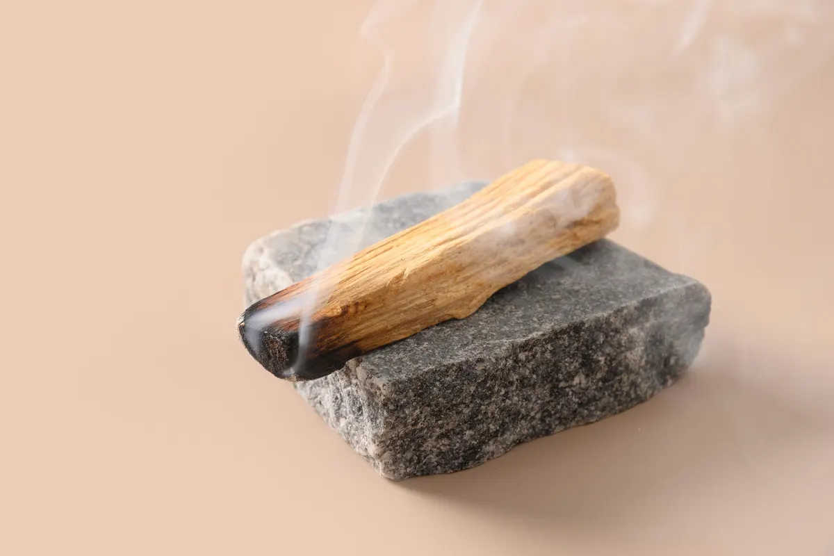 Palo Santo: Para Qué Sirve y Cómo Usarlo en Limpias — Don Jacinto Nahual, curandero de Catemaco